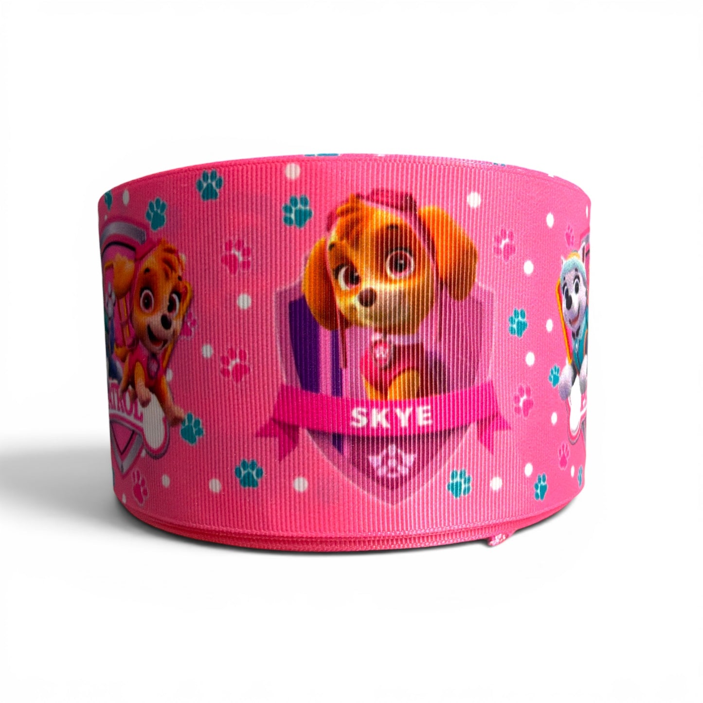 7.5cm/3inch Ribbon Sky Patrol