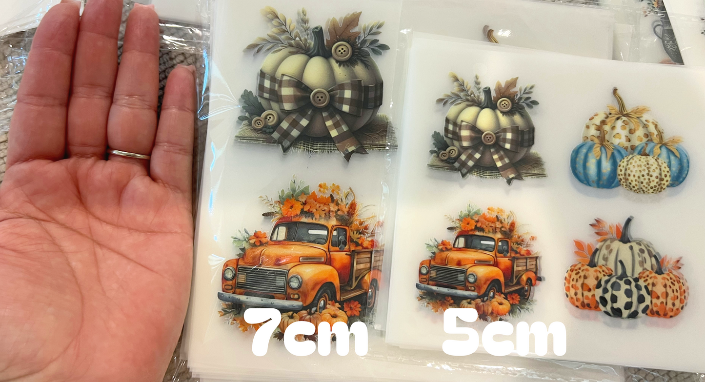 #152 Fall Pumpkins Transfer  Sheet