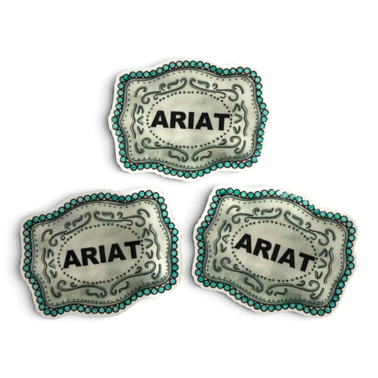 3 resins Ariat Belt Buckle   5cm CBY-04